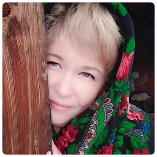 Статистика Дзен Агроном ДВ