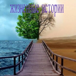 Дзен Нарочно не придумаешь! статистика