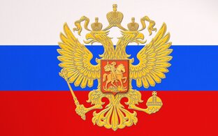 Дзен Знатный мух статистика