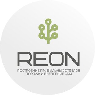 Статистика Дзен REON - построение отделов продаж и автоматизация бизнеса на базе внедрения CRM и AI