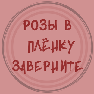 Дзен Розы в пленку заверните статистика