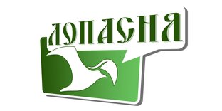 Статистика Дзен Лопасня