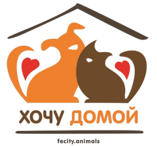 Статистика Дзен Хочу Домой. Курская область