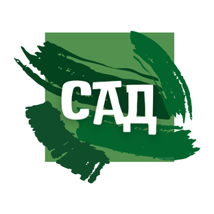 Статистика Дзен САД🌳|| Книги, отдых, видео
