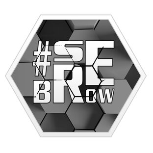 Логотип канала #serebrow (Путешествия и не только)