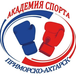 Статистика Дзен "Академия Спорта"