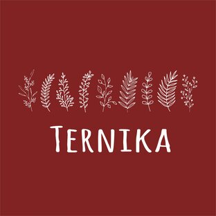 Статистика Дзен Ternika