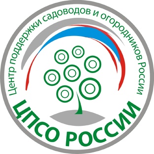 Дзен ЦПСО России статистика