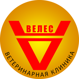 Статистика Дзен Зоовелес-ветеринарная клиника Астрахань