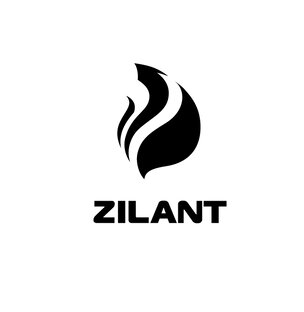 Статистика Дзен Видеостудия ZILANT PRO
