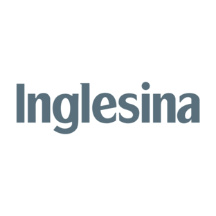 Статистика Дзен Inglesina Russia