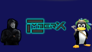 Дзен Cyber X статистика
