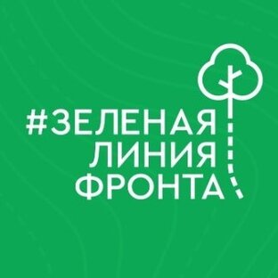 Дзен Зеленая линия фронта статистика