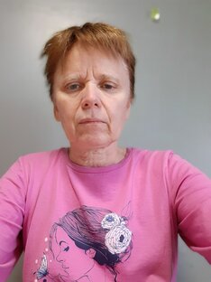 Дзен Finlarez статистика