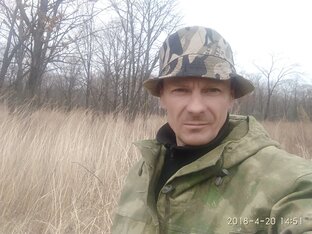 Статистика Дзен Мастер Сам