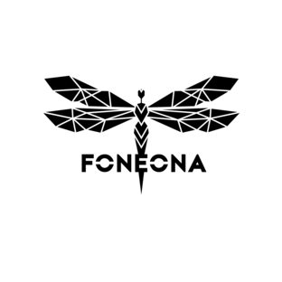 Статистика Дзен FONEONA