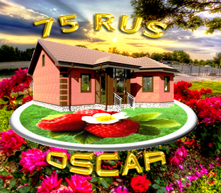 Канал дзен удачный проект