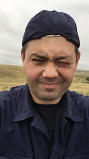 Статистика Дзен Авторский канал Дмитрия Ольховатского