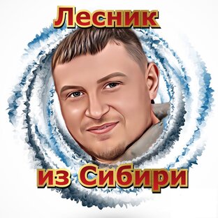 Статистика Дзен Лесник из Сибири