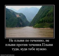 Человек как амеба: что это значит?