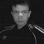 Дзен Тик-Токер Никита статистика