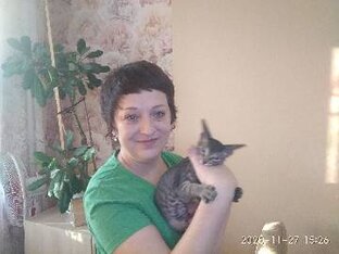 Статистика Дзен Сибирская хохлушка