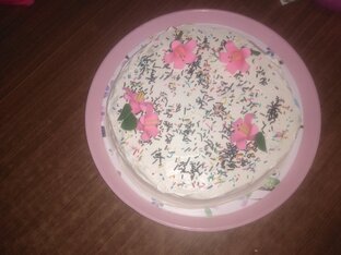 Дзен Катарина Живкович статистика