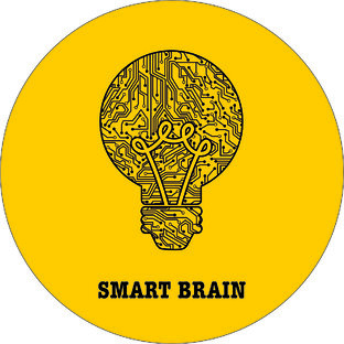 Smart brain схемы сборки