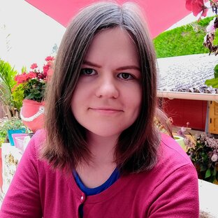 Статистика Дзен Путешествия и живая природа