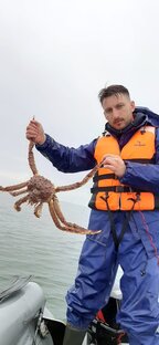 Статистика Дзен Алексей Никитцов