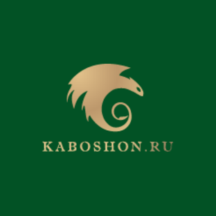 Дзен Kaboshon.ru статистика
