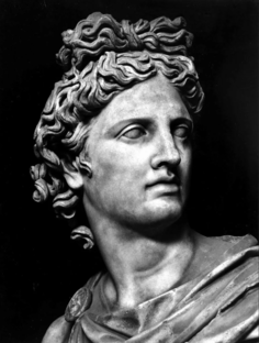 Дзен Славная История статистика