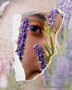 Дзен Взглядом наружу статистика