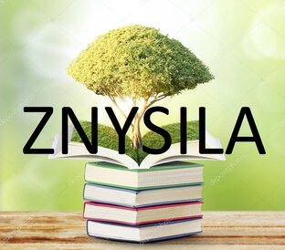 Статистика Дзен Znysila