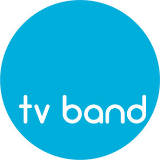 Статистика Дзен TV Band