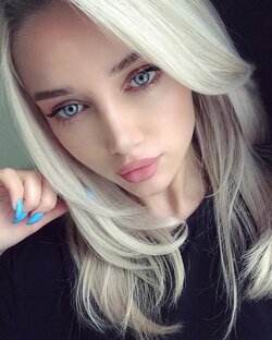 Дзен Красота мира статистика