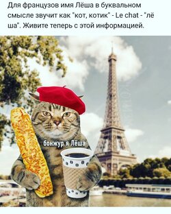 Статистика Дзен Алексей Ивашкин