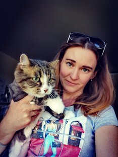 Дзен Дарья Романова статистика