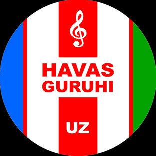 HAVAS guruhi