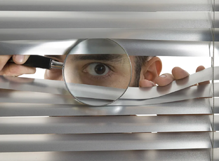 Дзен Под наблюдением статистика