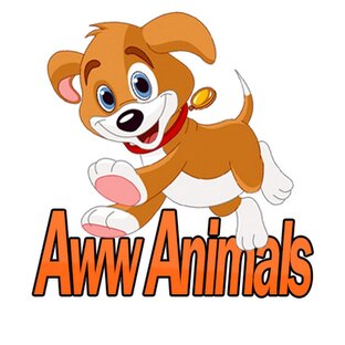 Дзен Wow Animals статистика