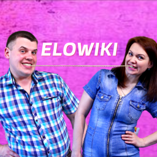 Дзен Еловики статистика