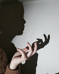 Дзен Plastelina ___ статистика