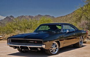 Дзен Олежа Колобов статистика