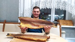 Дзен PRO Koптильни статистика