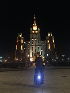 Статистика Дзен Бес в ребро.