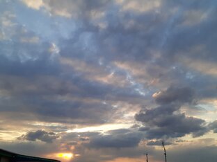 Дзен стихи для души статистика