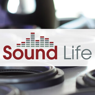 Статистика Дзен Sound Life