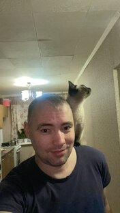 Дзен Алексей Геец статистика