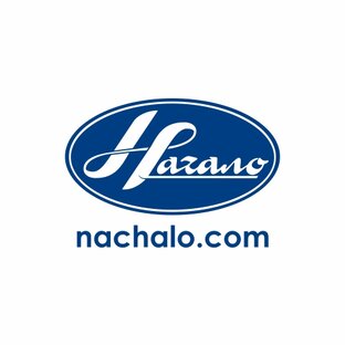 Статистика Дзен ООО ПО Начало